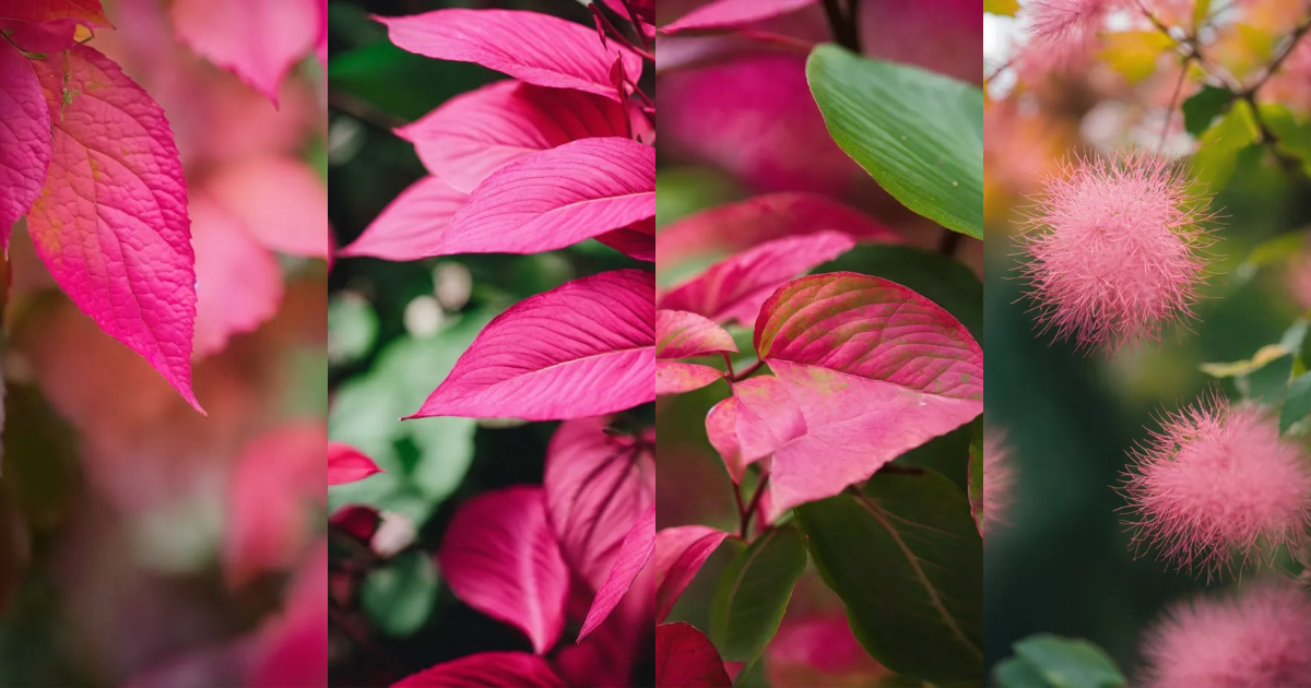 Lexica - Pink and Green Leaves in Close Up Photography