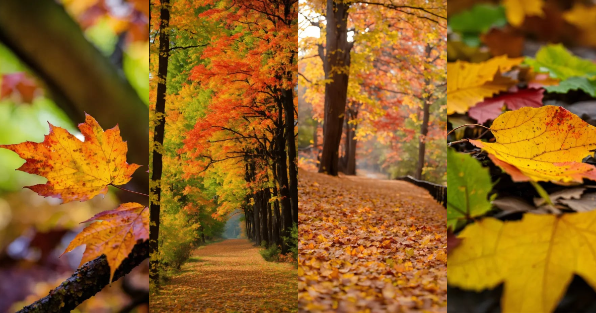 Lexica - Leaf fall colors
